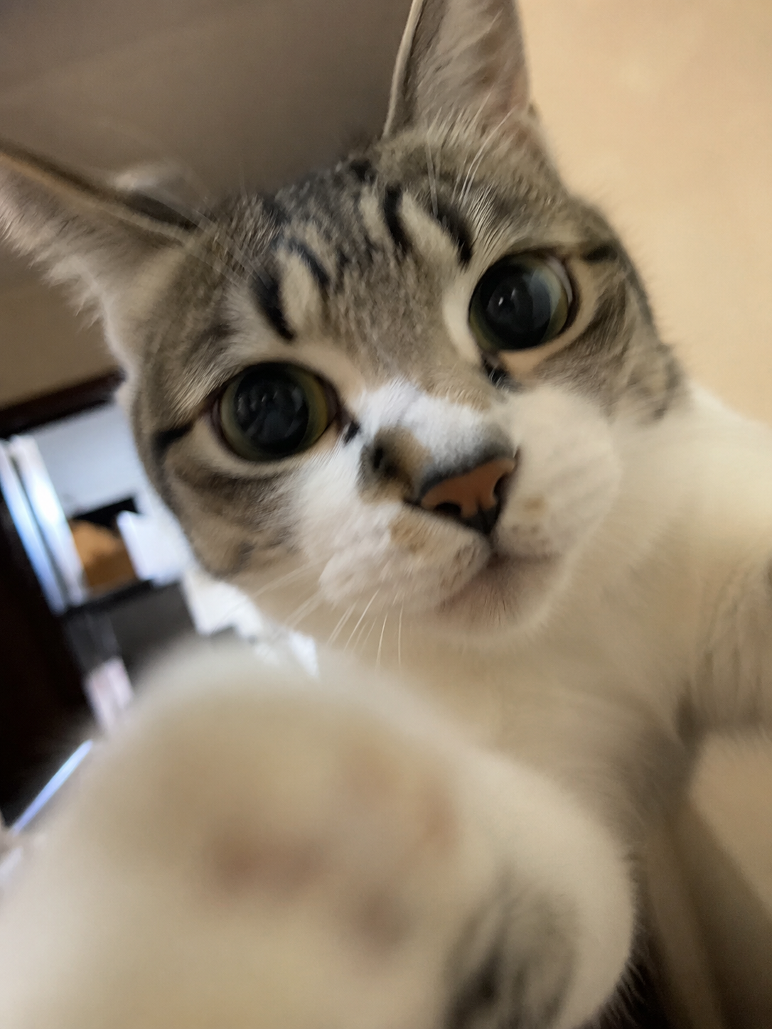 光