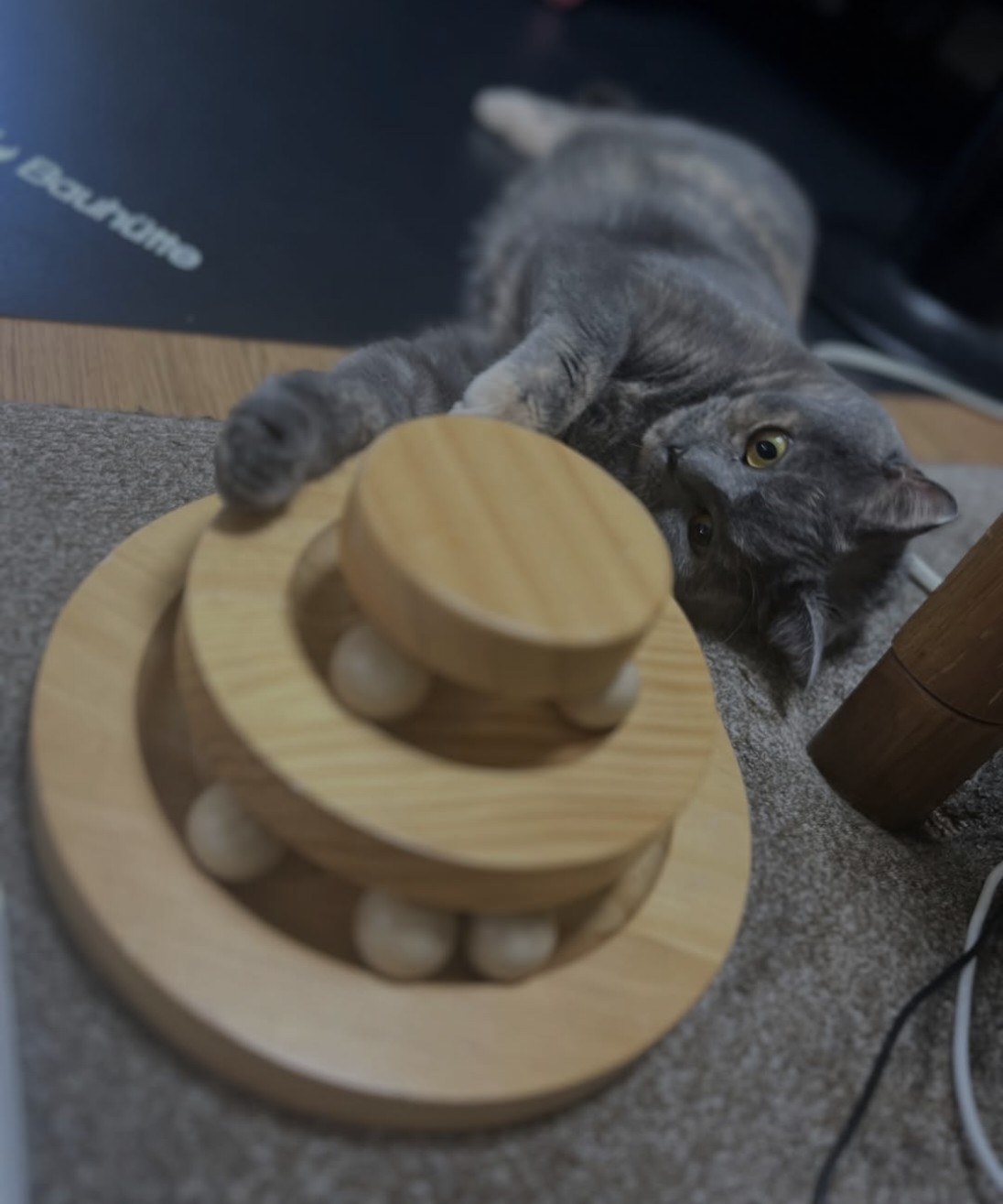 えは君 おめでとう