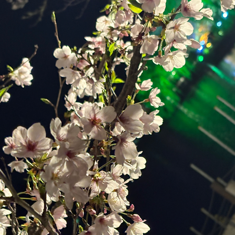 3月も沢山ありがとうございました💕