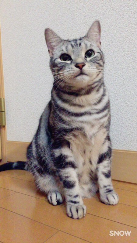 メイキングオブラジオドラマ(おれかま)