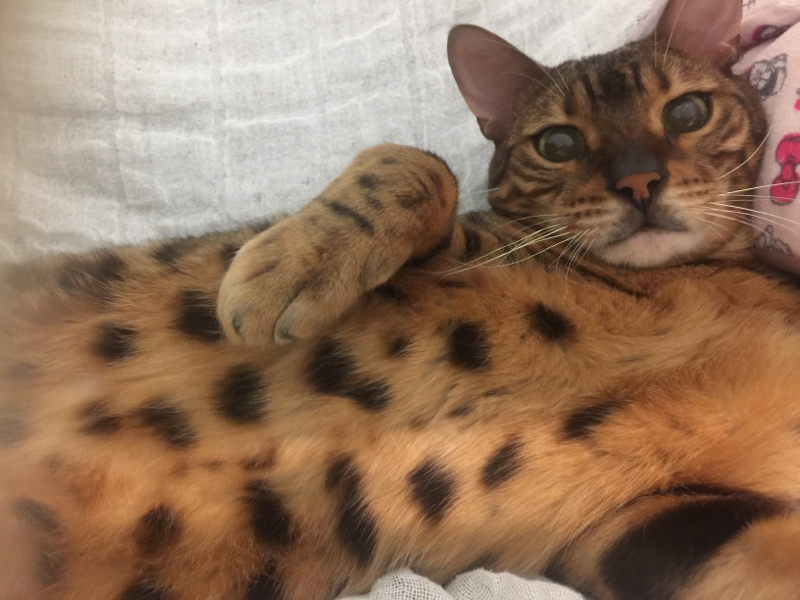 メイキングオブラジオドラマ(俺にかまわず先に行け!!)