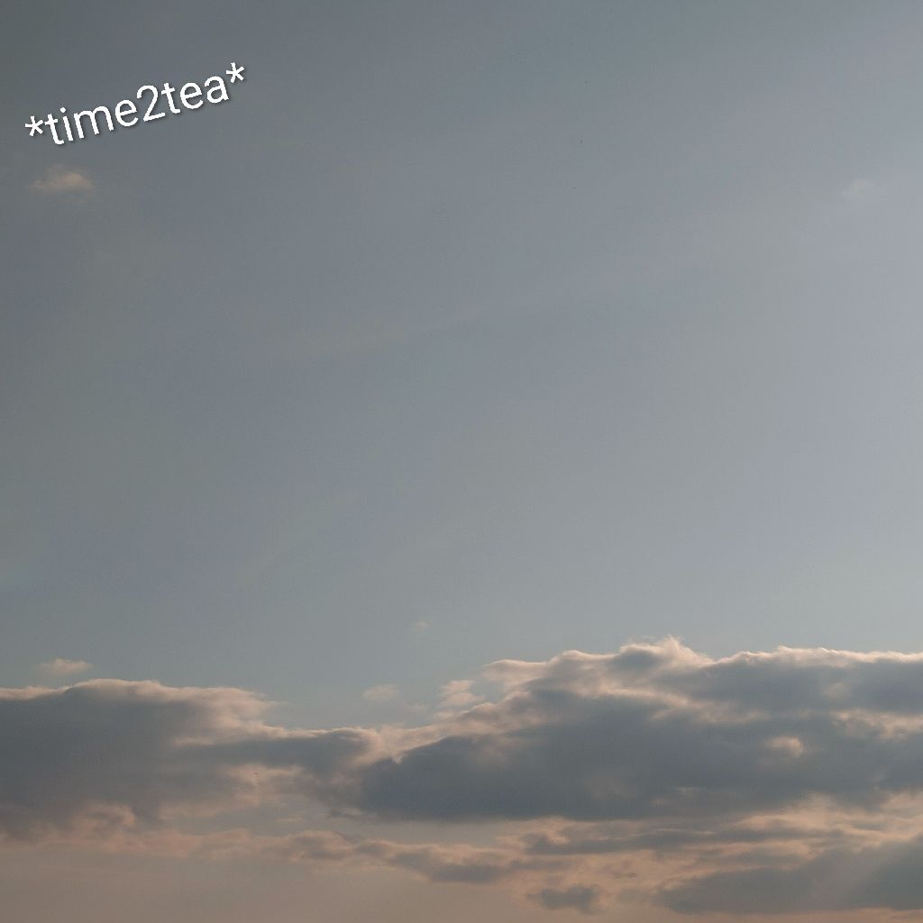 さらっぴんとーく　2026.3.12