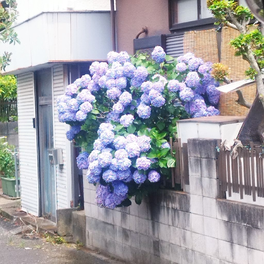 やば