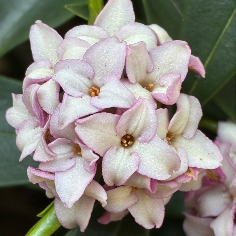 カード占い🥦シンクロニシティカード