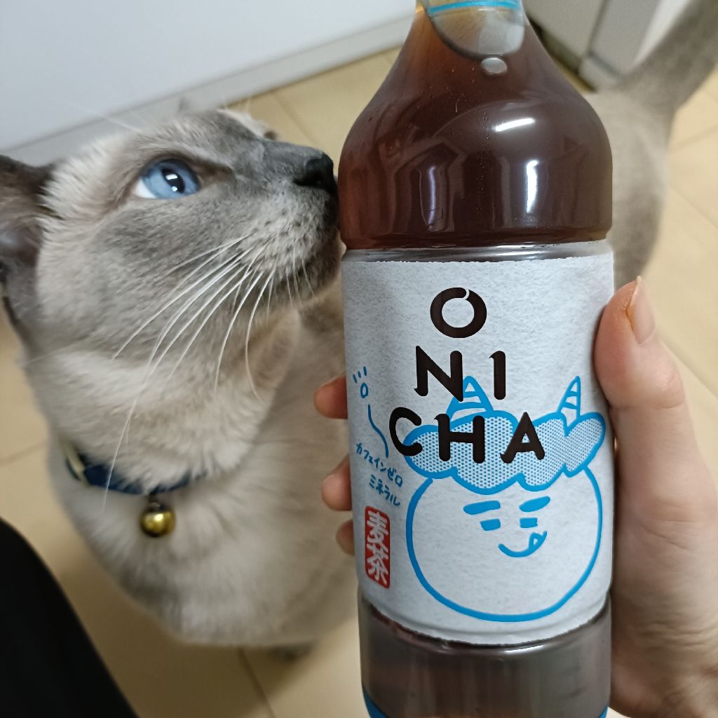 #29 食べ物の話