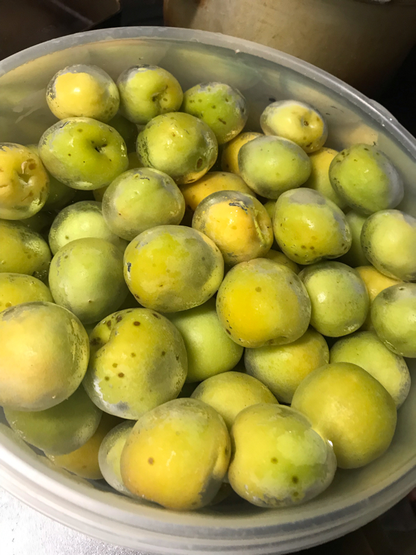 #1 はじめまして