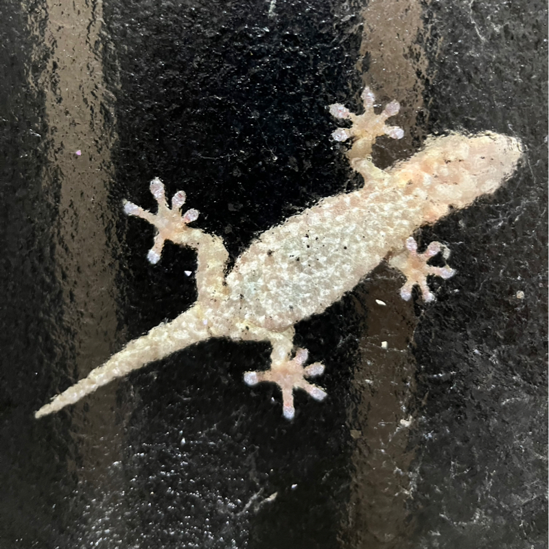 友達とサウナへ行った時の話