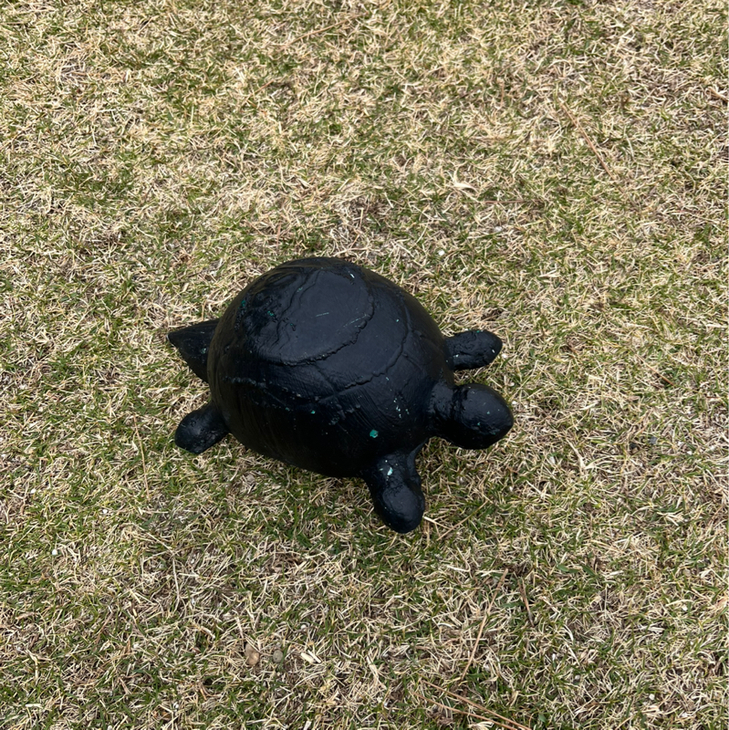 本当の自由とは