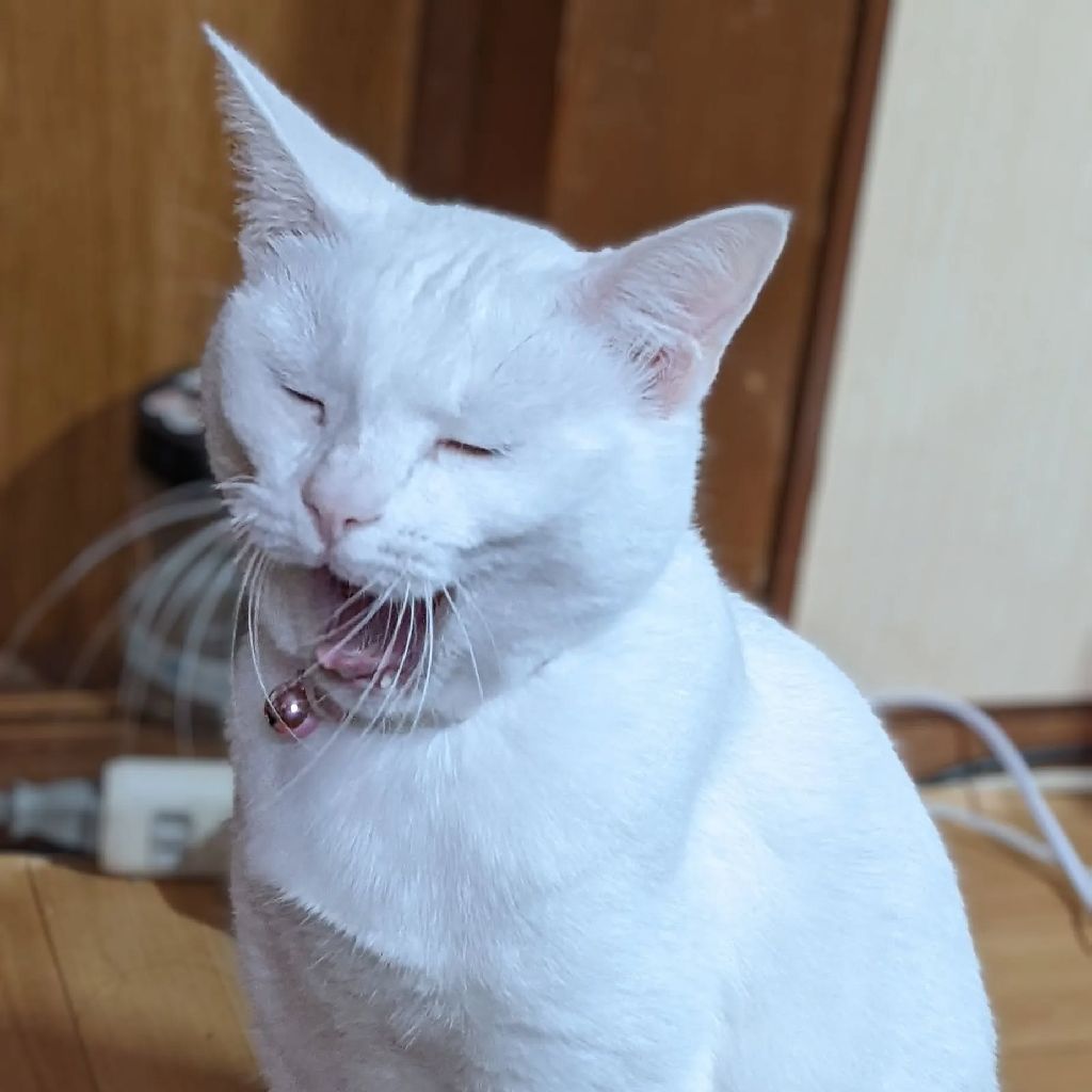 Threadsを通しての気持ちを初！音声配信してみる