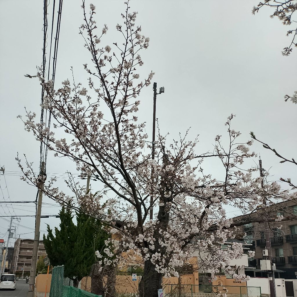 かいーだん、需要なし？