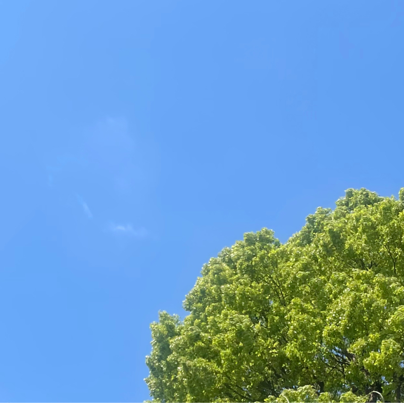 今日のおみくじ(方言バージョン)