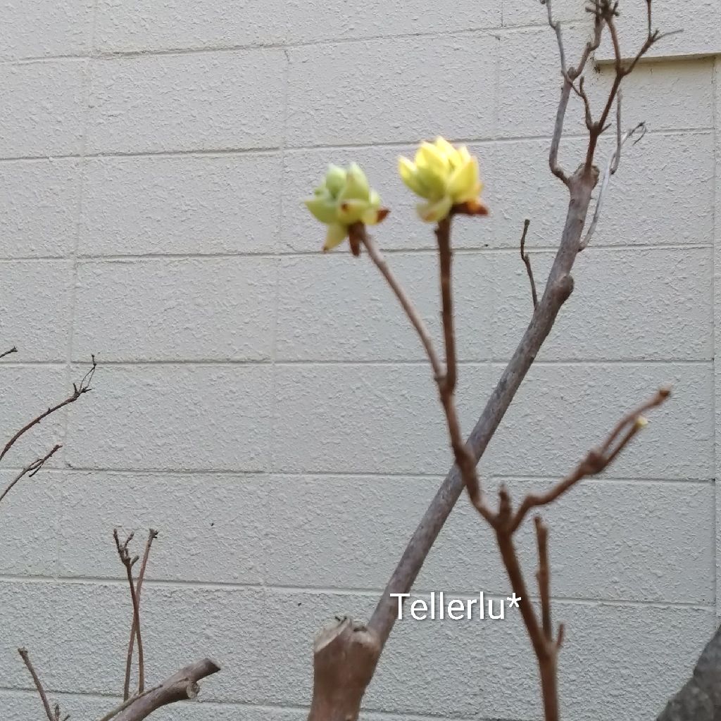 唱歌『浜辺の歌』😽♪~