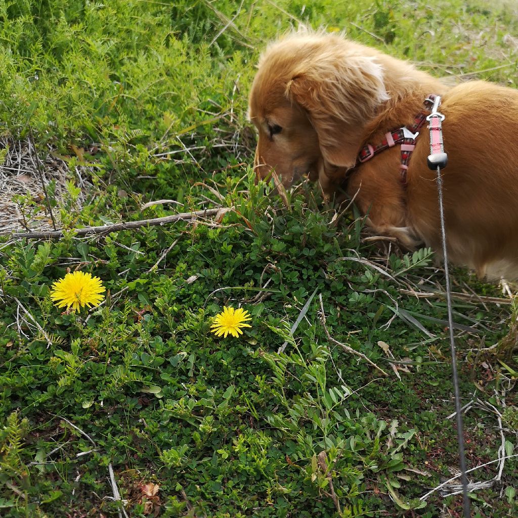 オタクおしゃべりクラブ