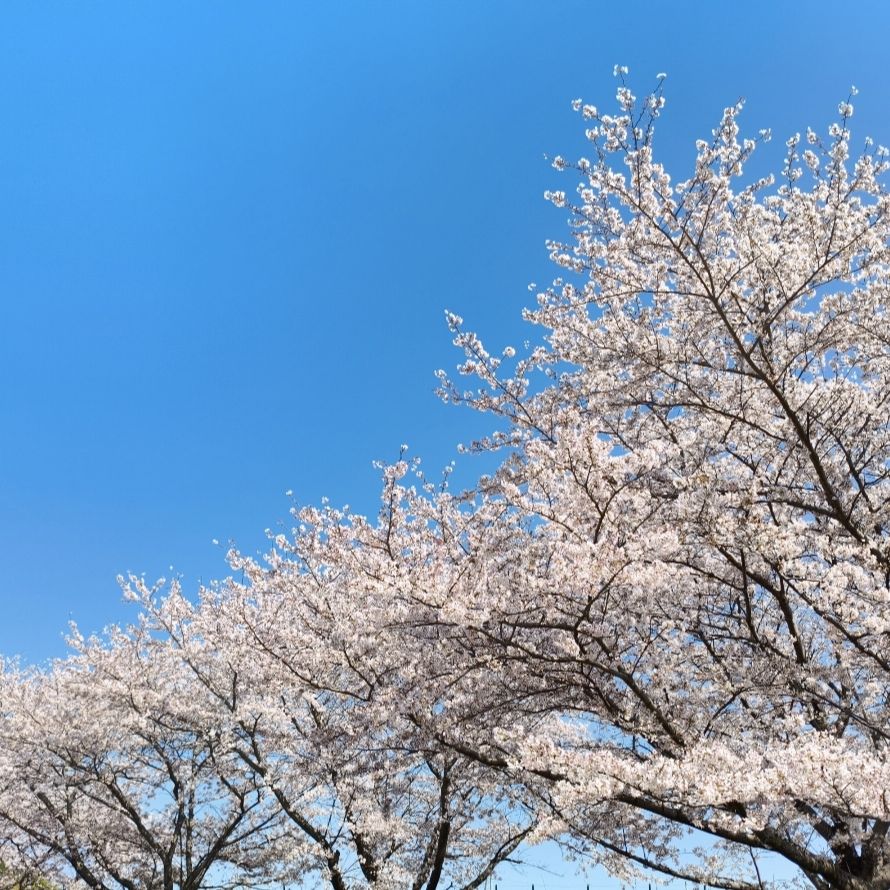 推しの新規絵を見ながら話す③　(完)