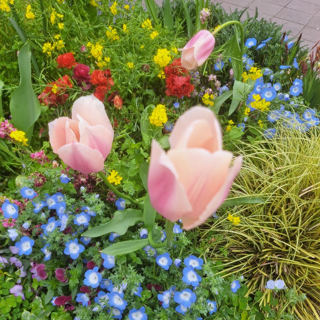 お休みでした。