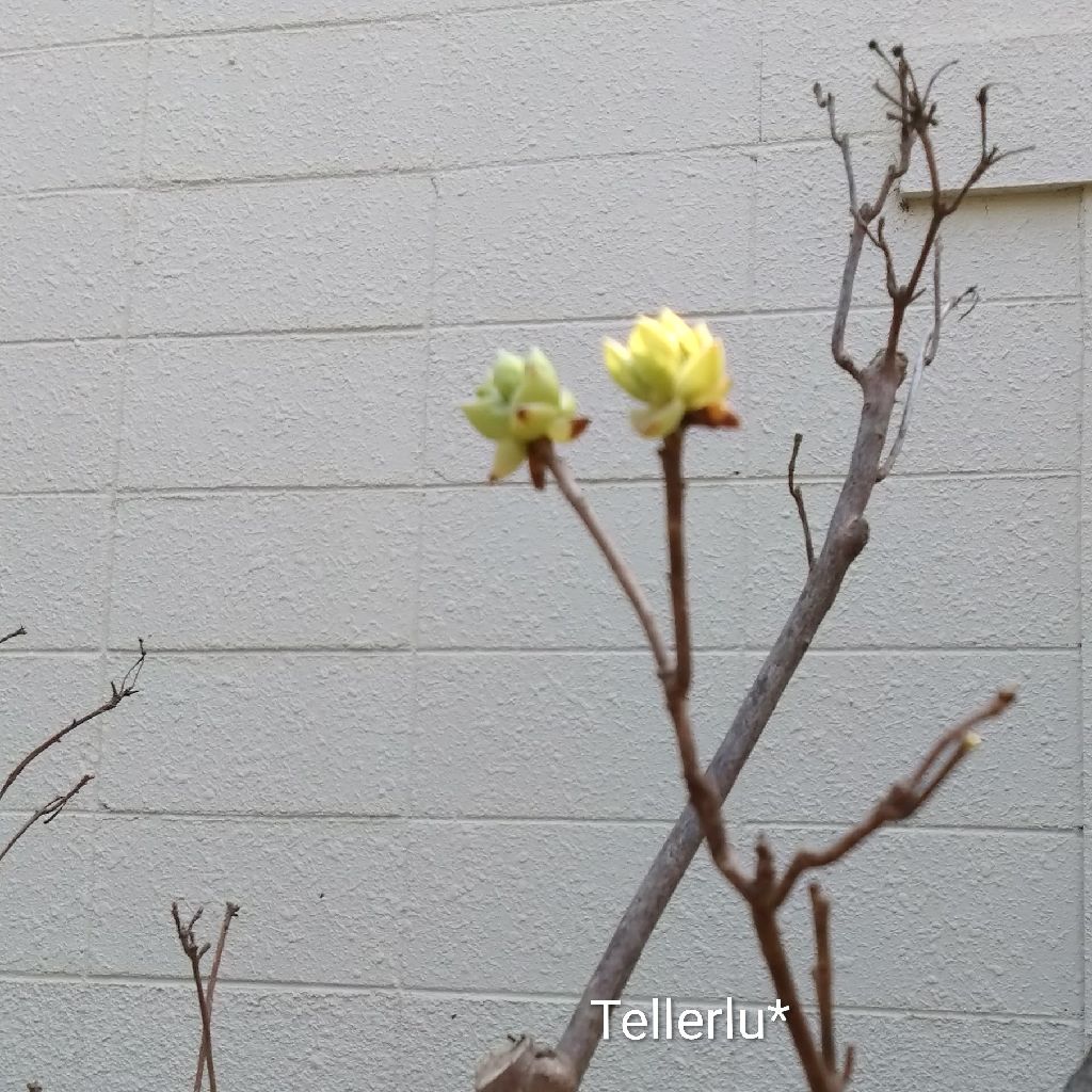 唱歌『浜辺の歌』😽♪~