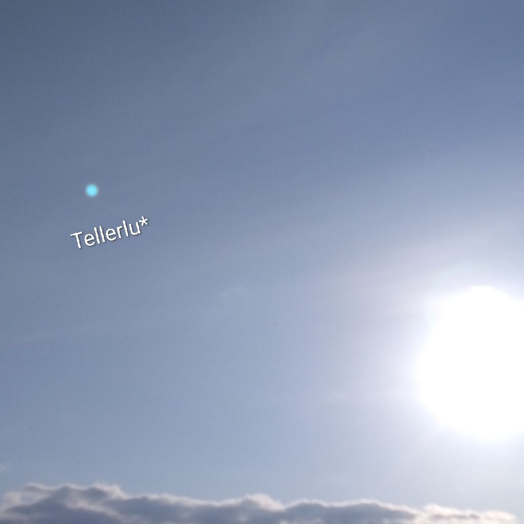 📚『夜光虫』作:小泉八雲