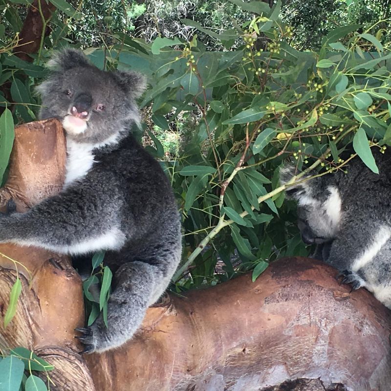 だらだらトーク2