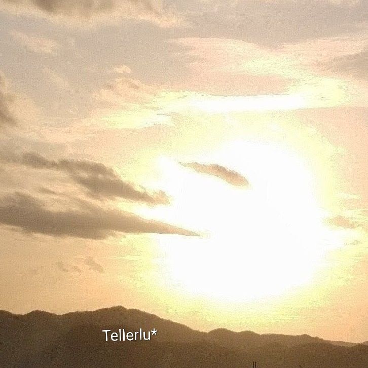 唱歌『故郷』🌱