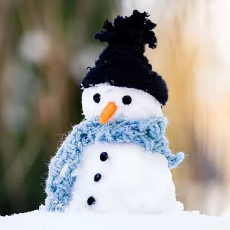 ココ☃️❄️