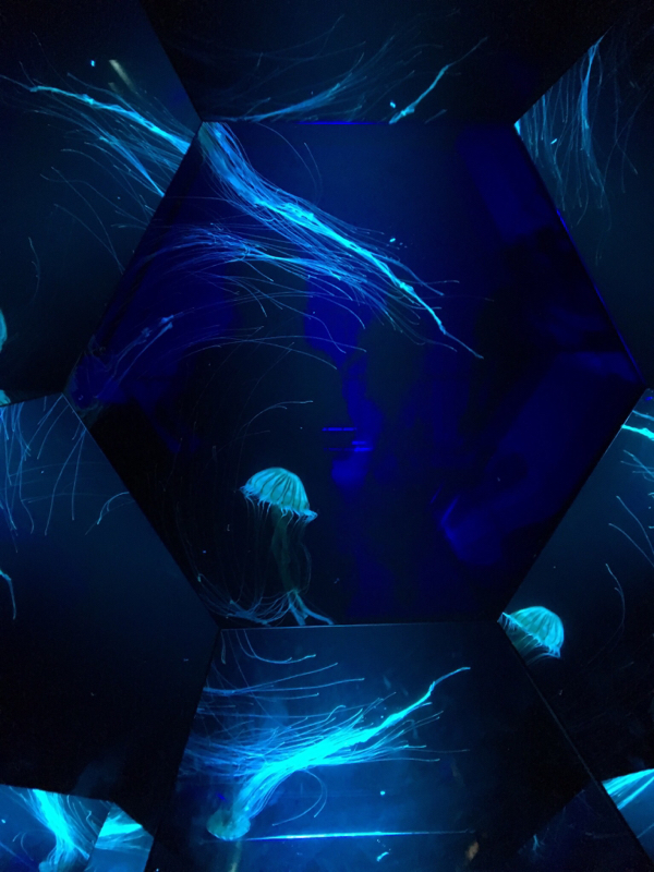 夢女である事を肯定してええんかわからん