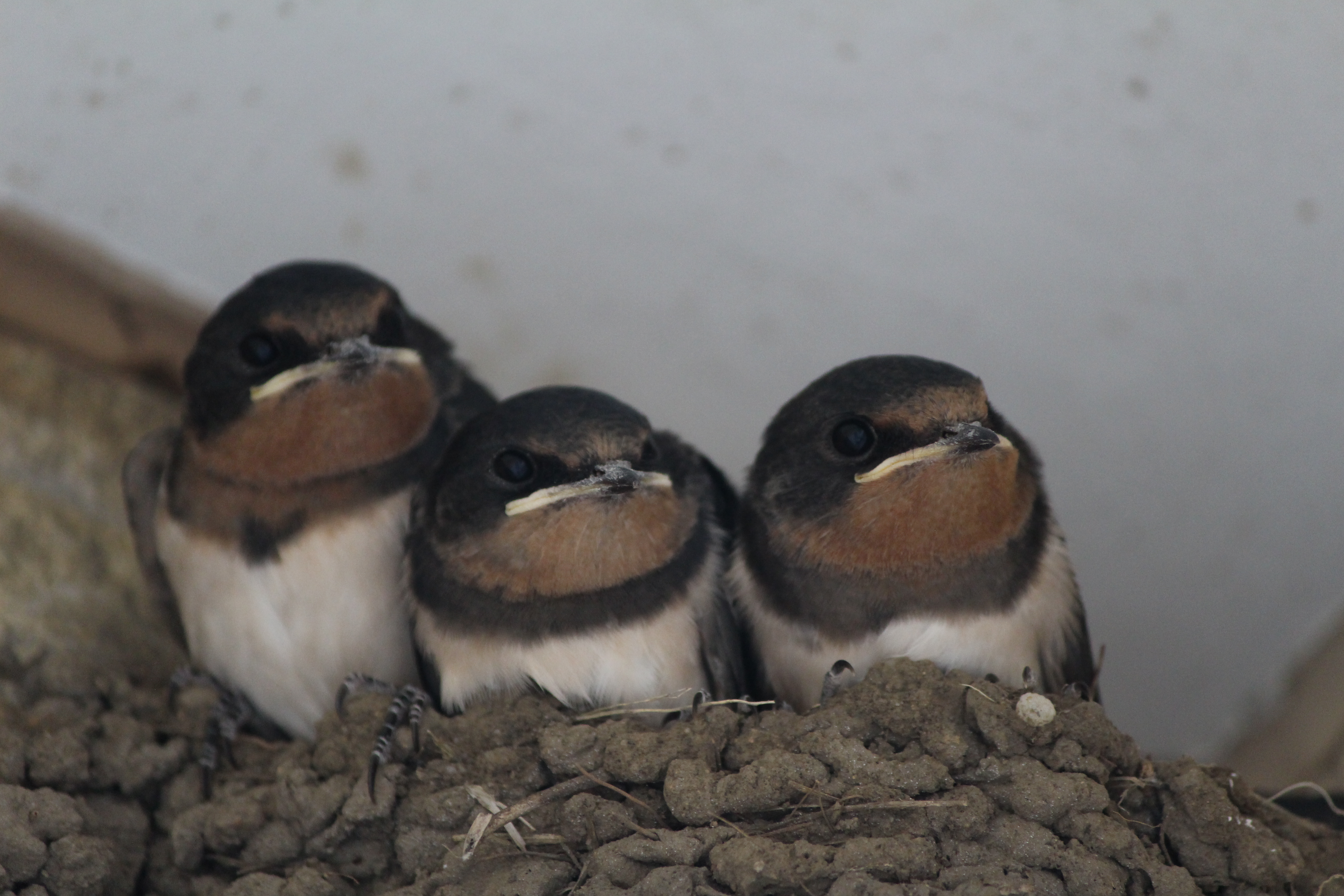 第一回場が持たなかった