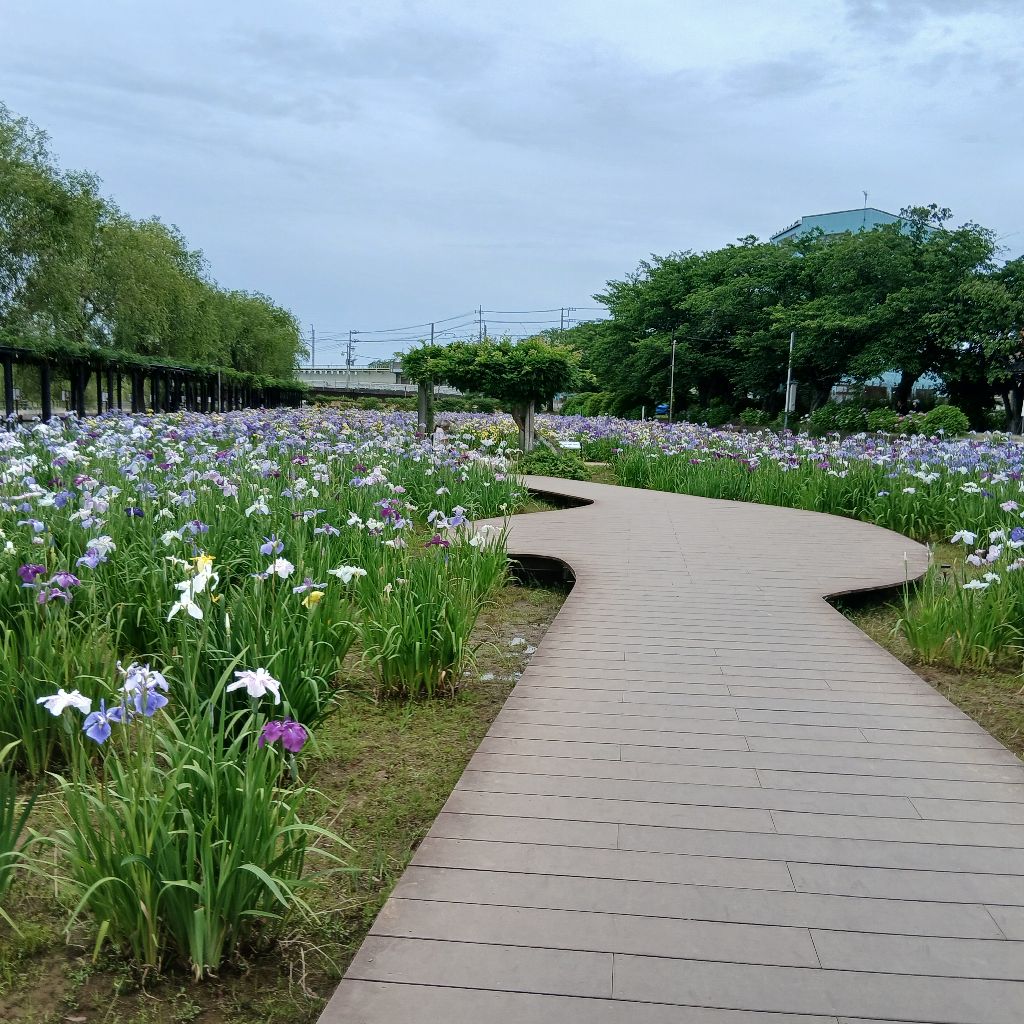 ラブプール