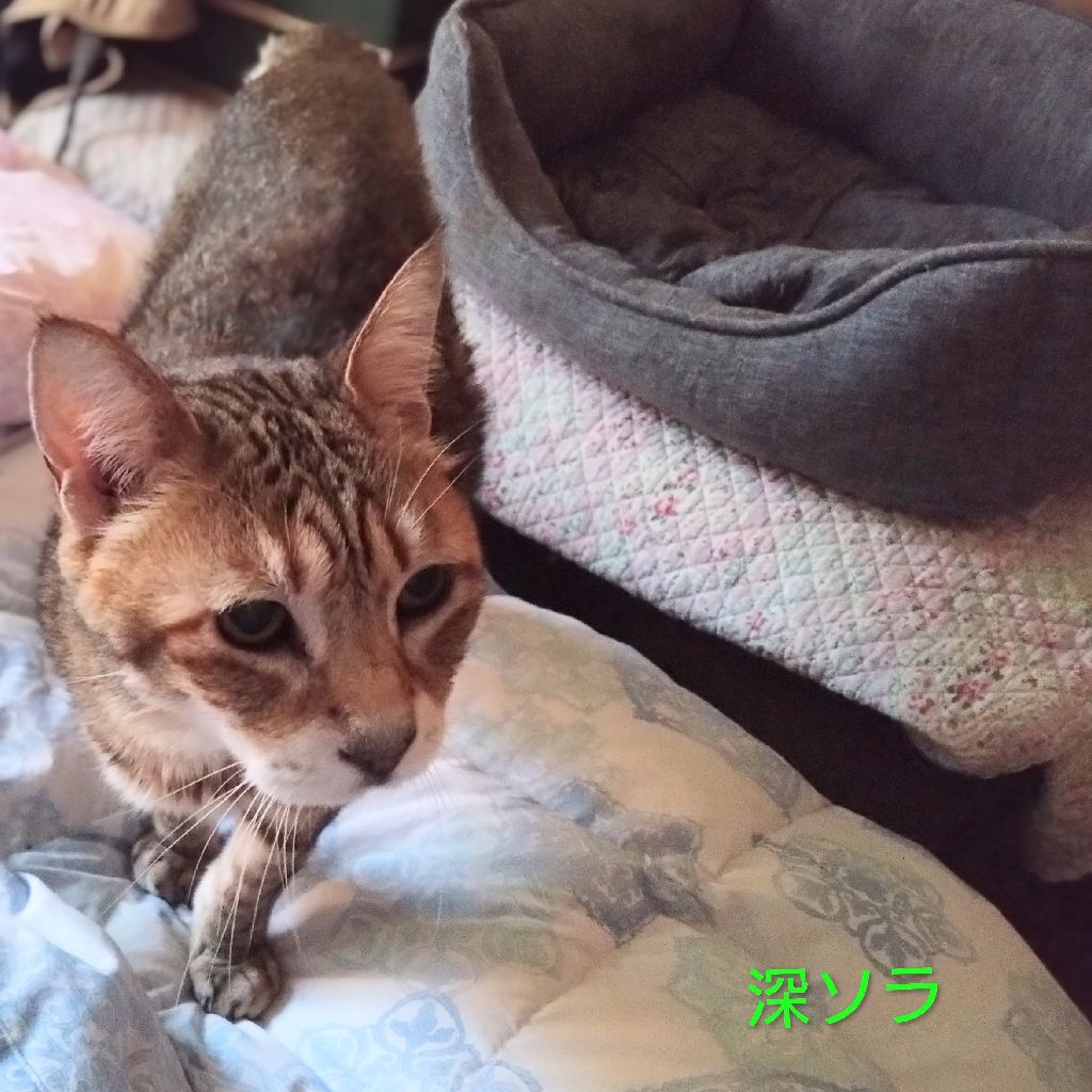 *あの雨の日*