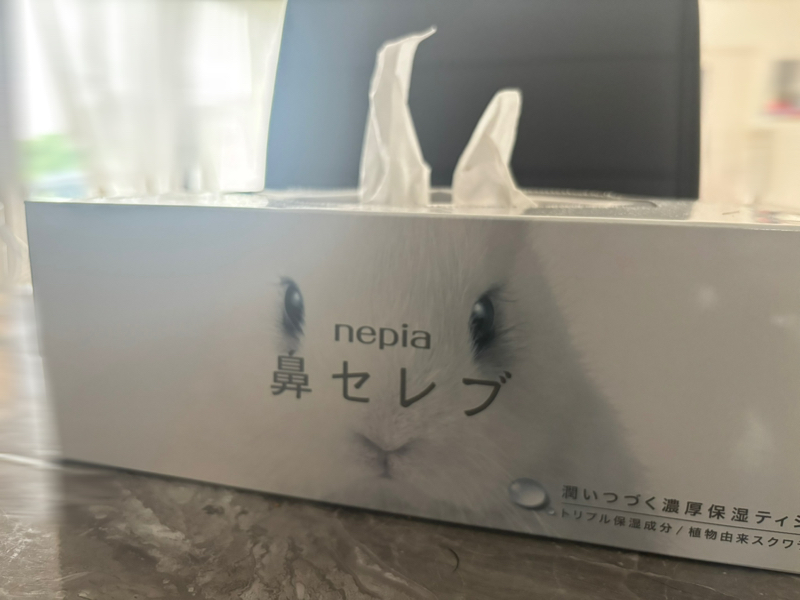 鼻ズコズコ