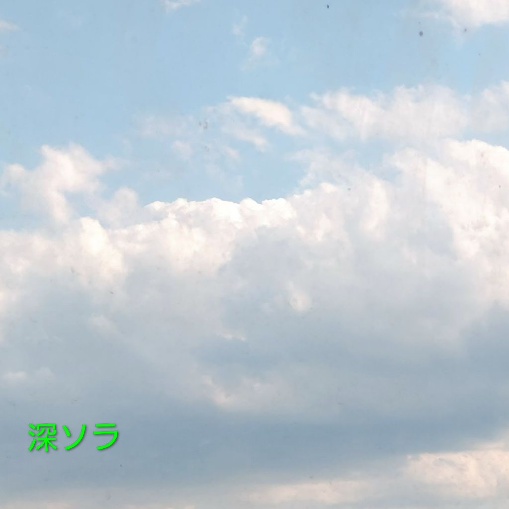 唱歌 浜辺の歌😽♪~