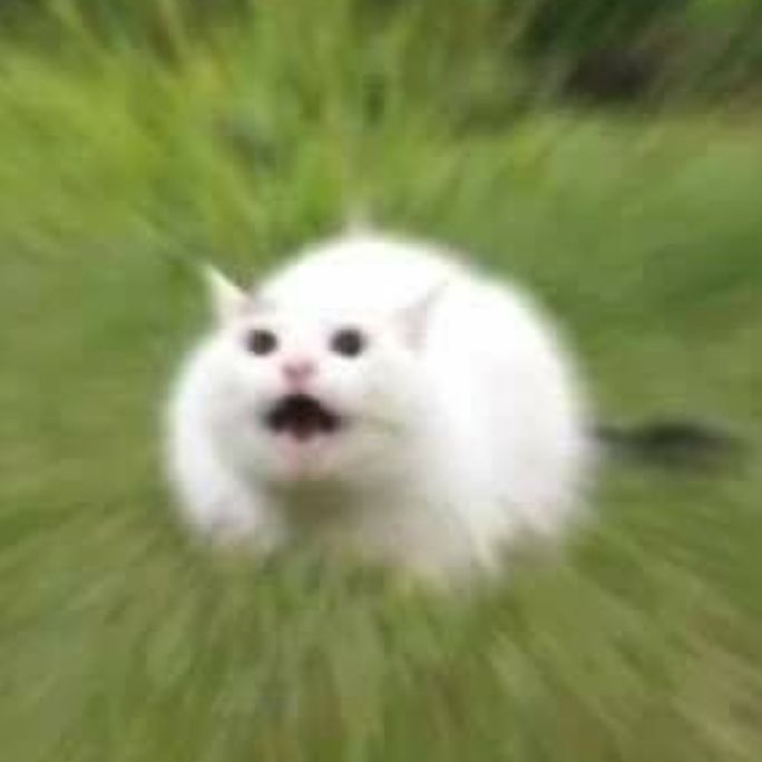 すずの番組
