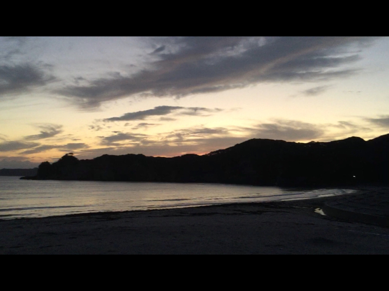 夜ごはん食べつつ