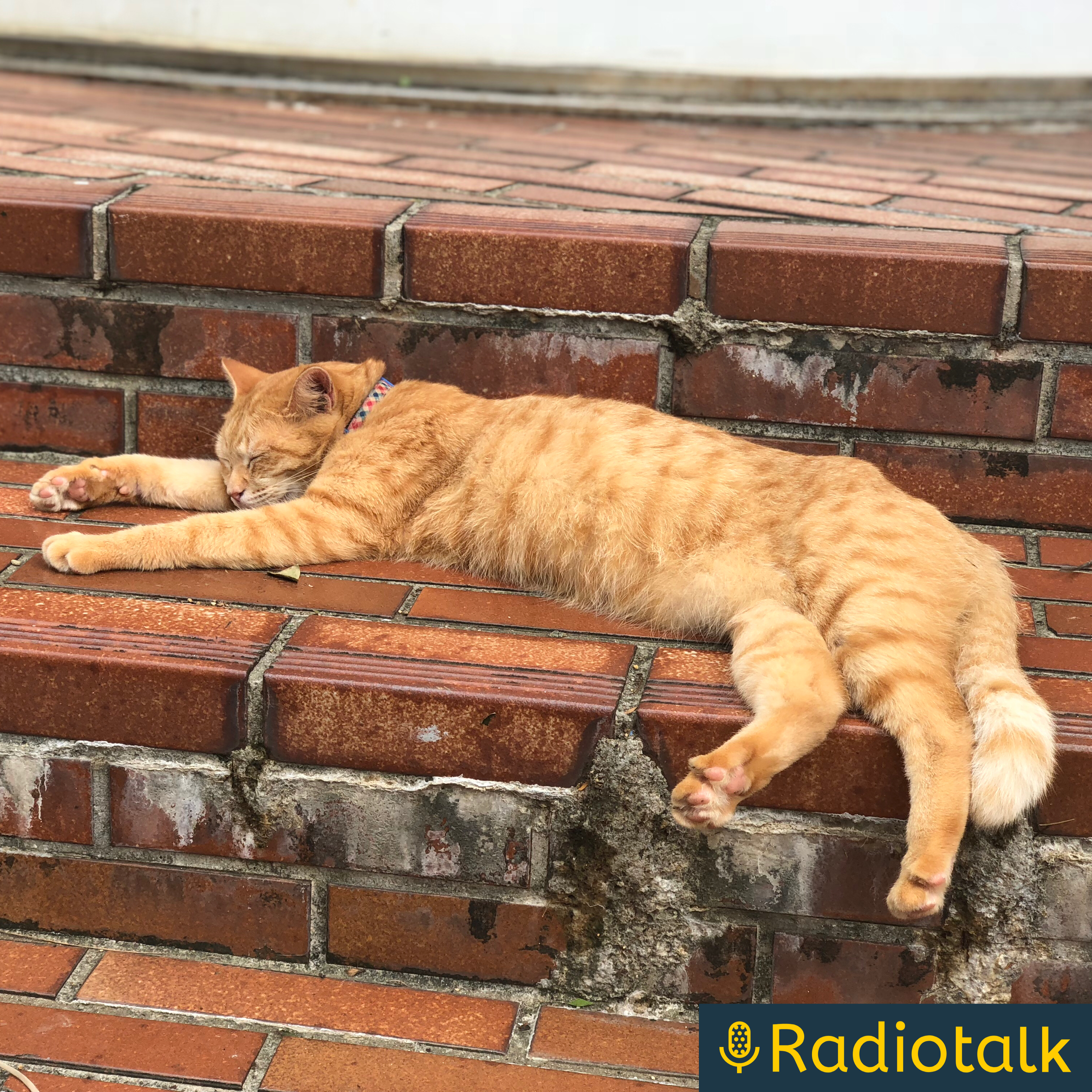 DJたつのこのワンマントーク‼️