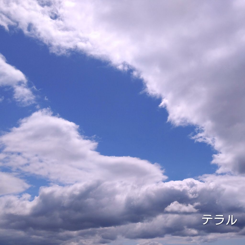 ♪😽~『夢路より』