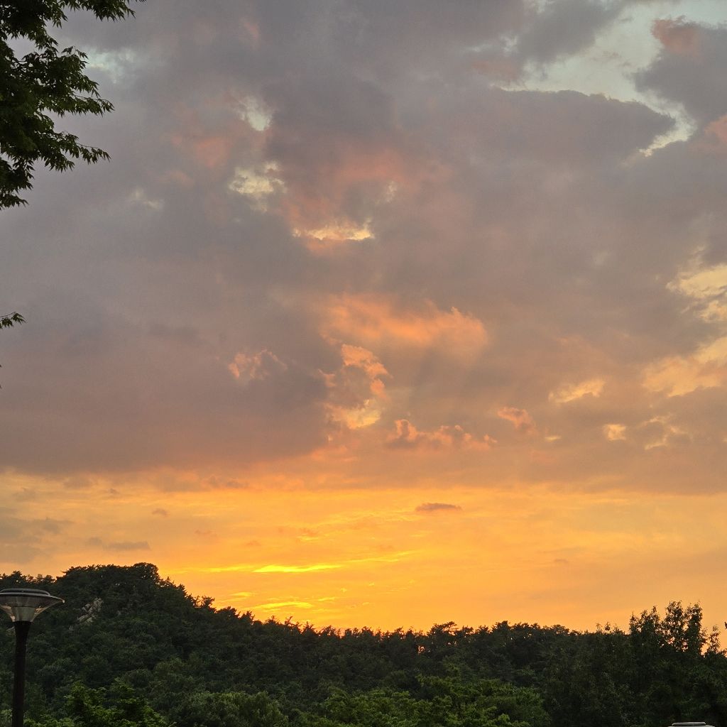 #001 靴底と夕焼け、自己開花とは🌱