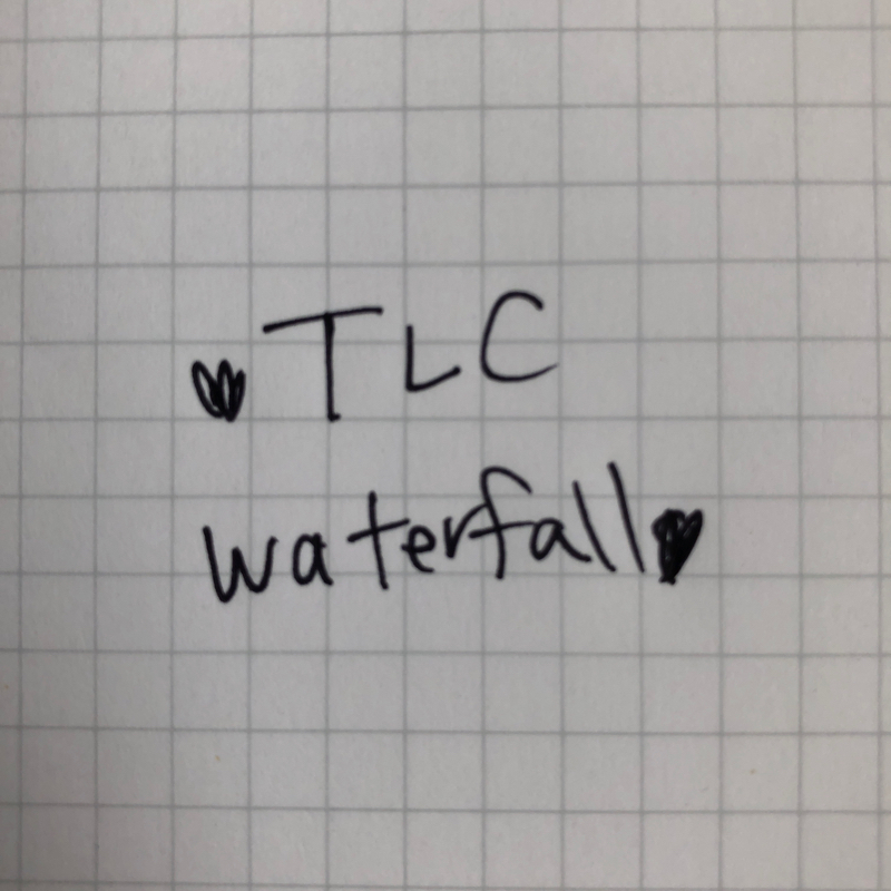 ころころ日記 1回目