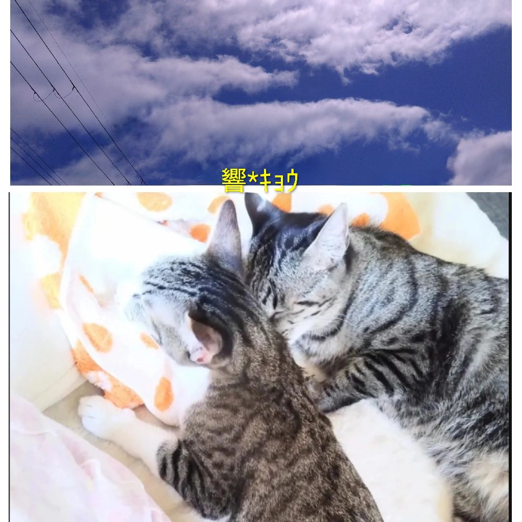 Kyou❜s radio