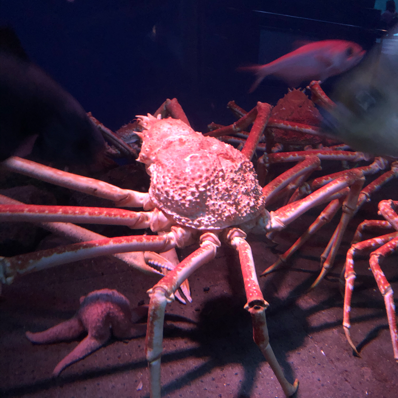 ❤️よっぱらっぴ❤️