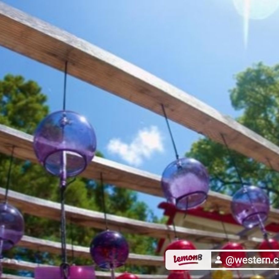 現代社会を生き抜くチャンネル