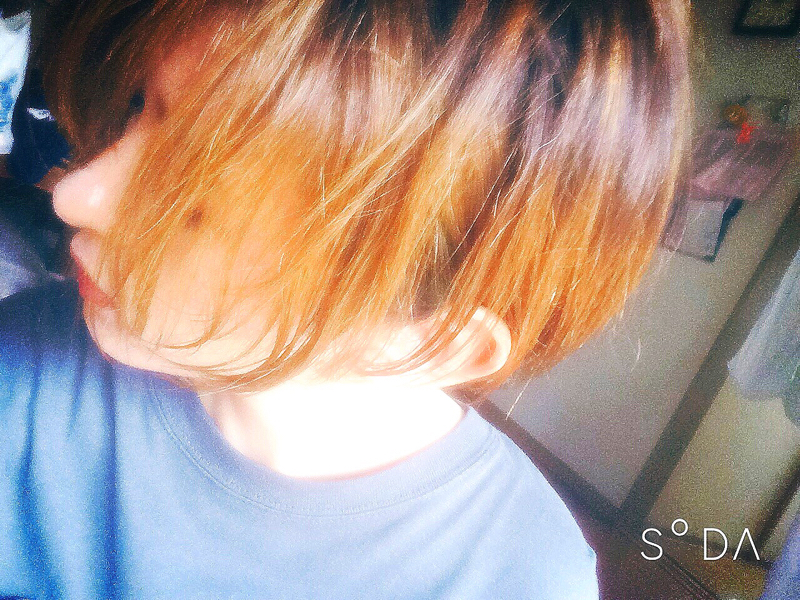 めしべが喋るぞ