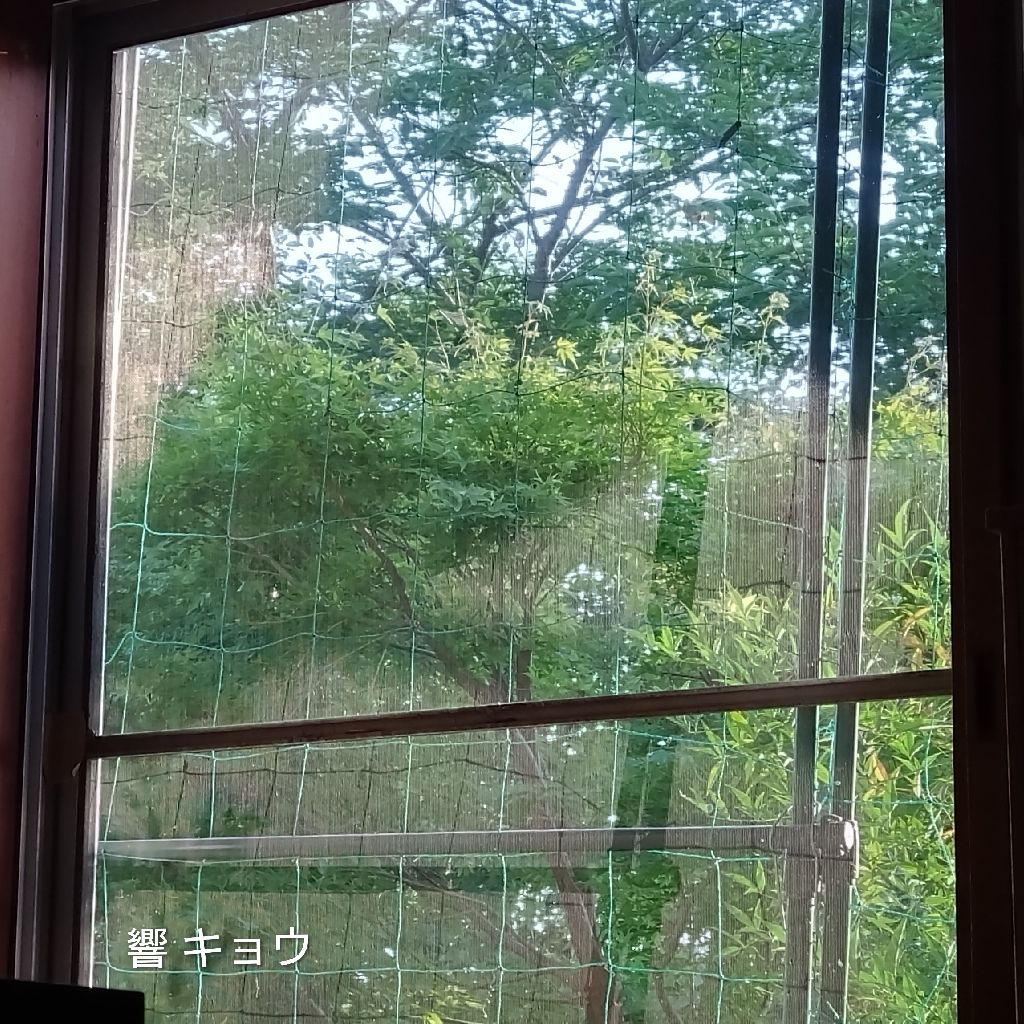 響 ❜キョウ