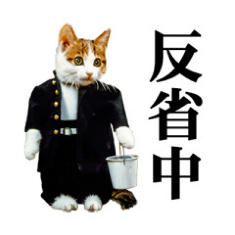 くろねこ'S  ROOM𓃠‪🌙