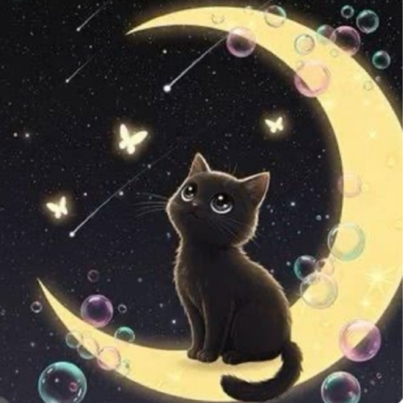 くろねこ🐈‍⬛🌙