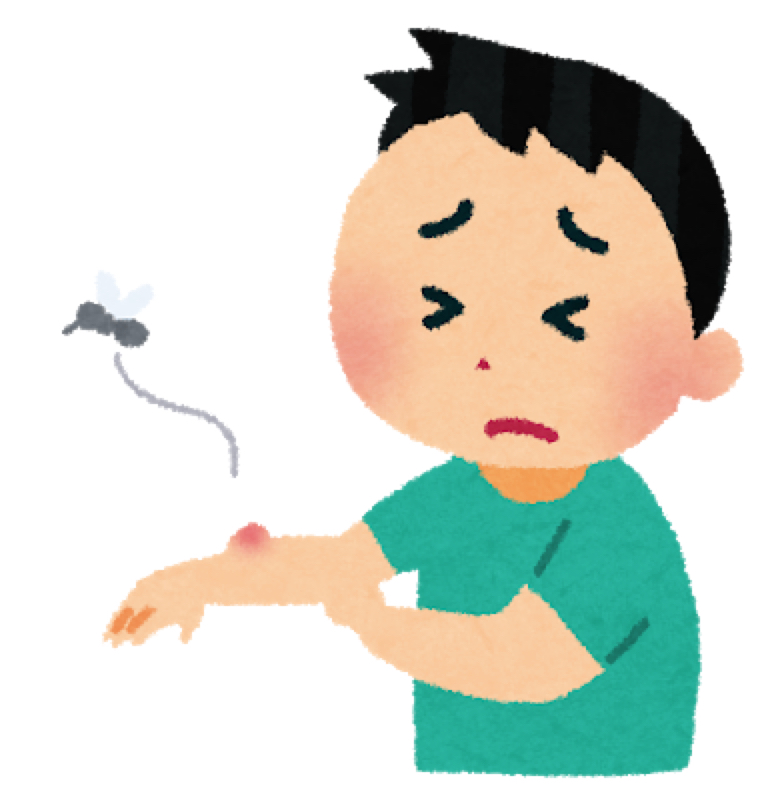 わたしと夏とダニ