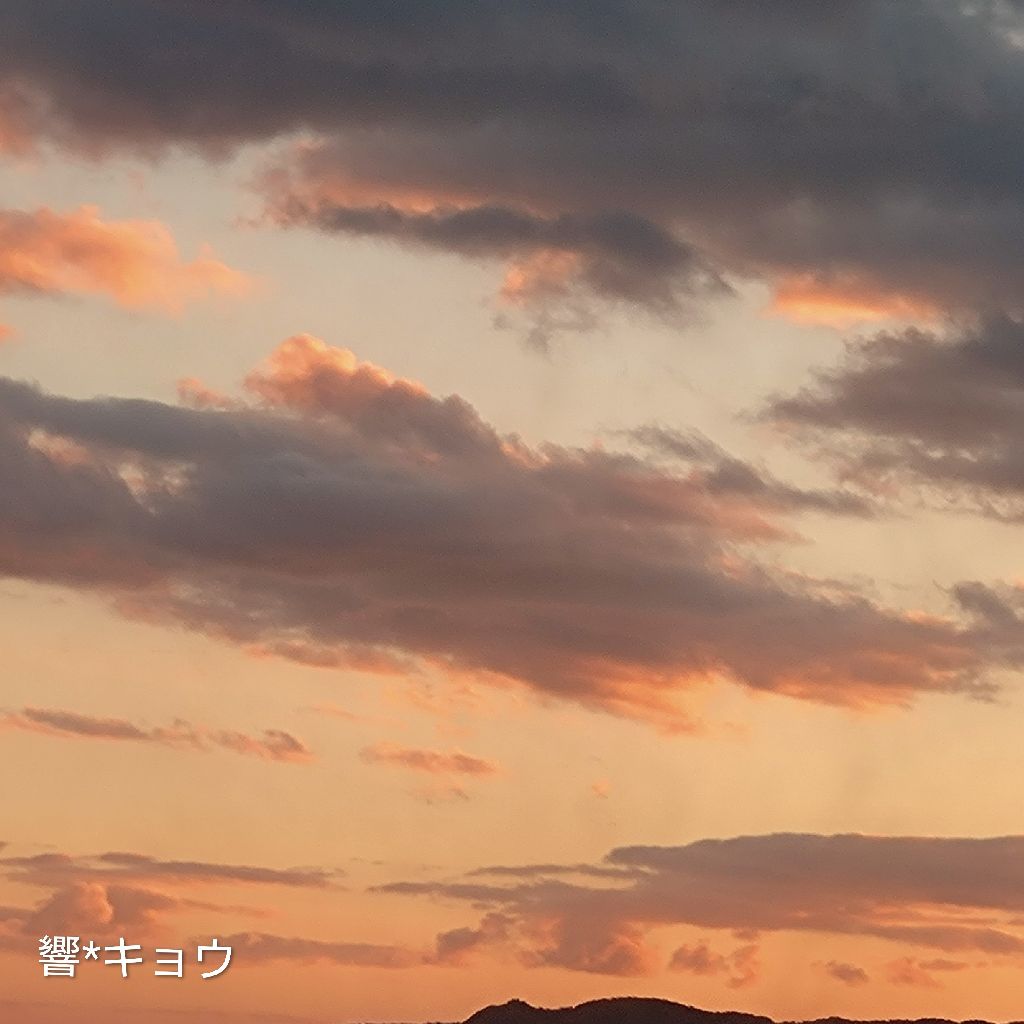 唱歌『故郷』♪😽~