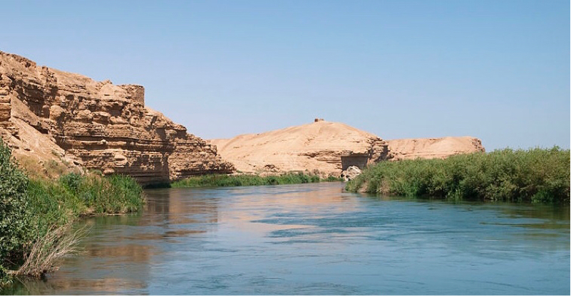 周辺のかみがみ