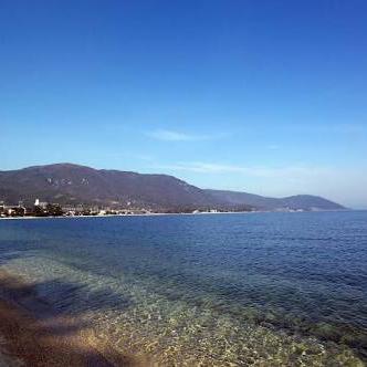 鹿茸にーな 〜琵琶の湖から〜