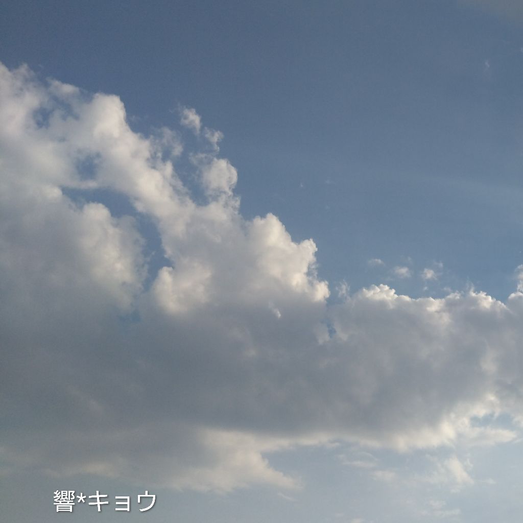 😽♪~唱歌『浜辺の歌』