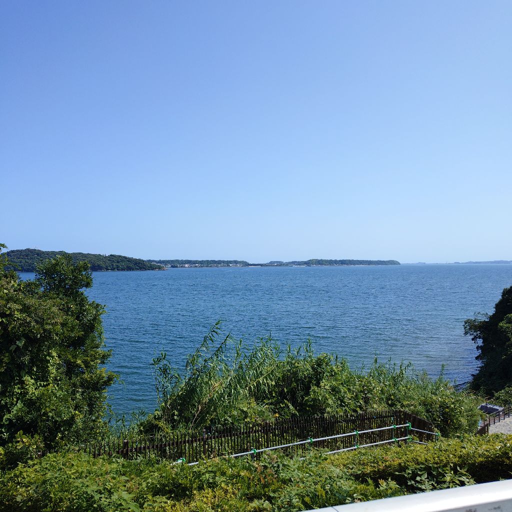 初めまして