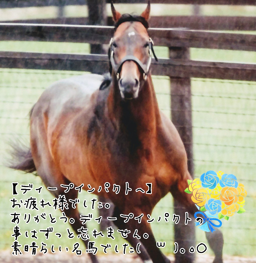 001/お知らせയꕤ*.ﾟ